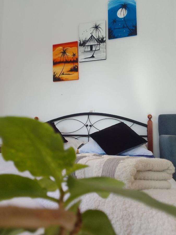 Ocean Surf Lodge Taghazout Εξωτερικό φωτογραφία